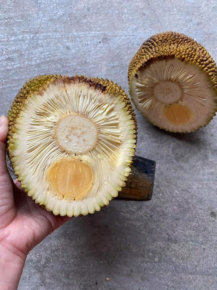 Ngỡ đi đến nước cờ ấy rồi ắt hẳn sẽ gặt hái được thành quả xứng đáng, nhưng đúng là người tình không bằng trời tính.