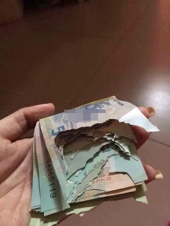 Dù đã cẩn thận giấu tiền vào chỗ kín nhưng lại không thể qua mắt được lũ chuột.