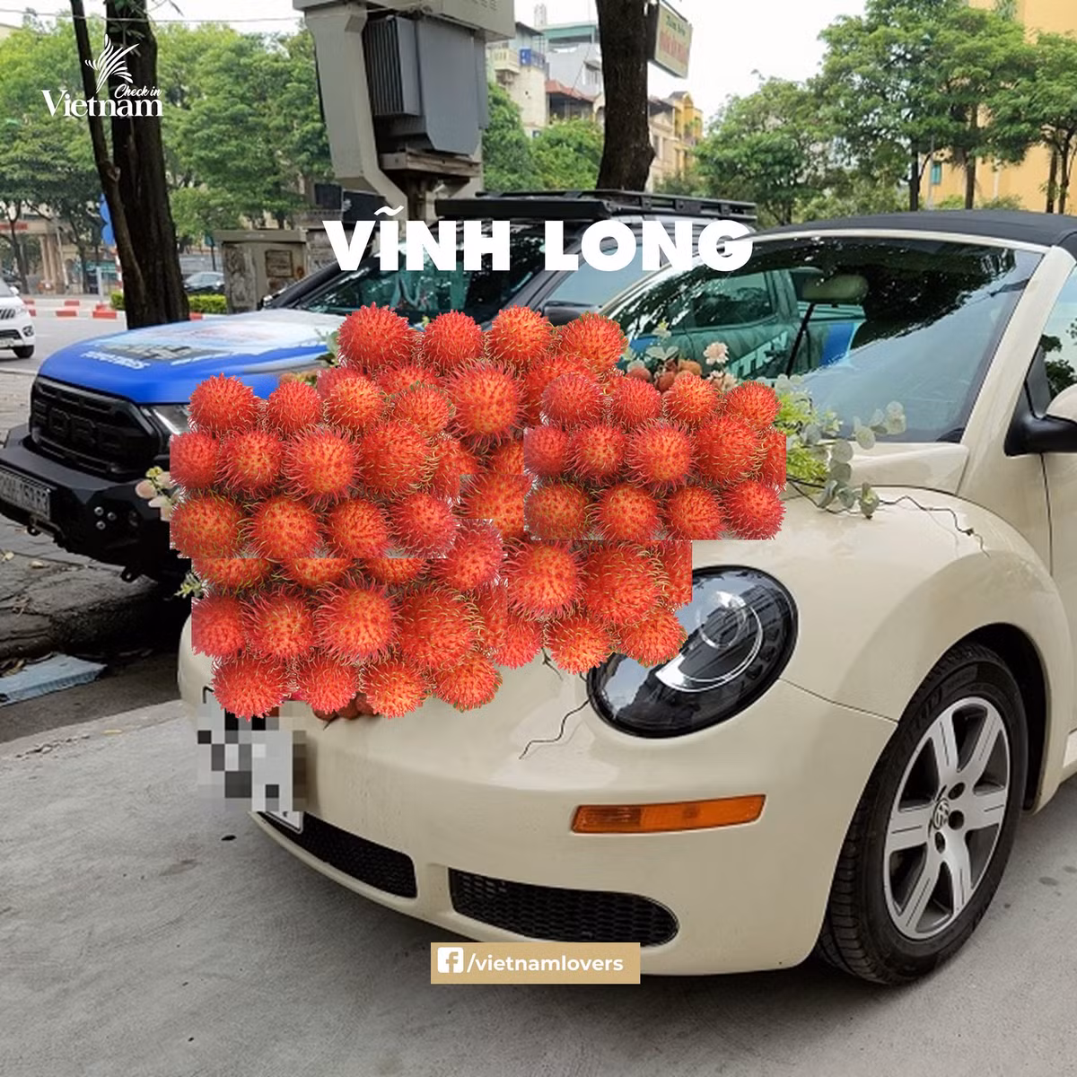 Vĩnh Long là đất chôm chôm với nhiều loại chôm chôm khác nhau nên xe rước dâu tại đây chắc chắn phải trang trí bằng thứ quả này. Ảnh: Check in Vietnam