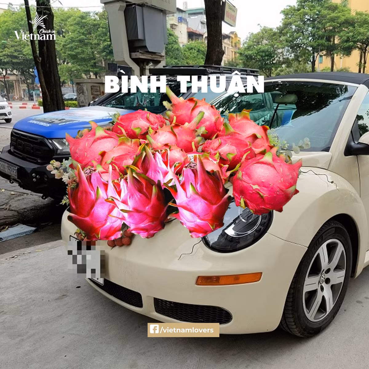 Dâu Bình Thuận thì nhất định phải được rước bằng xe hoa thanh long. Ảnh: Check in Vietnam