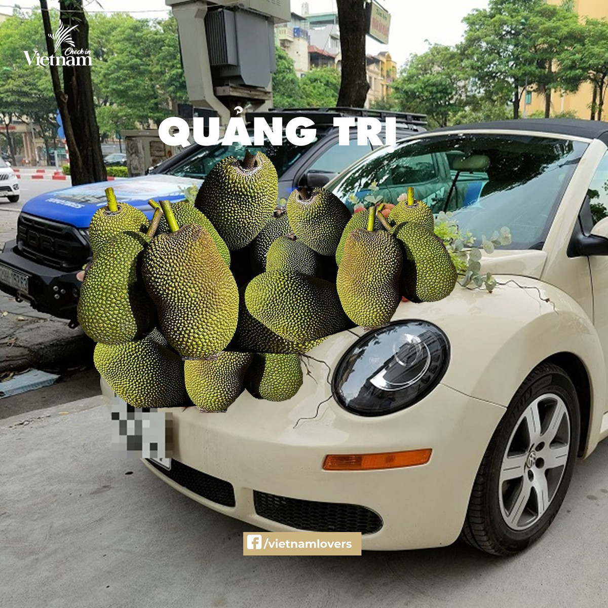 Trang trí xe đón dâu bằng mít thế này đậm chất độc - lạ luôn ấy chứ. Ảnh: Check in Vietnam