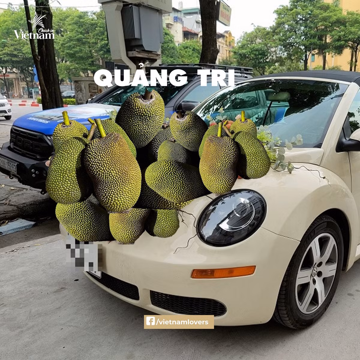 Trang trí xe đón dâu bằng mít thế này đậm chất độc - lạ luôn ấy chứ. Ảnh: Check in Vietnam