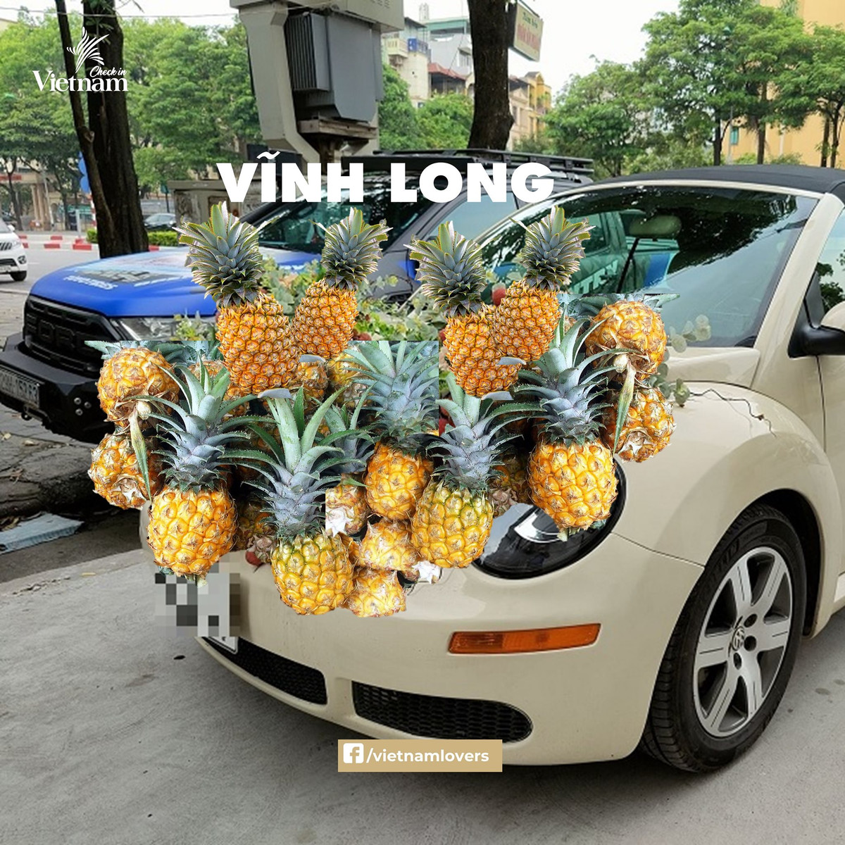 Đặc sản Vĩnh Long vô cùng thích hợp để trang trí trên xe hoa bởi chúng không chỉ ngon, mà còn tỏa mùi thơm. Ảnh: Check in Vietnam