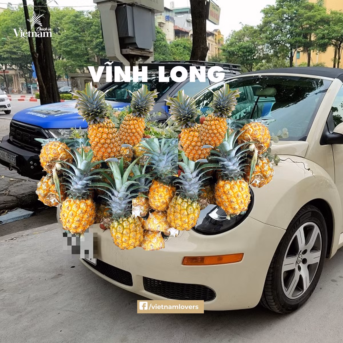 Đặc sản Vĩnh Long vô cùng thích hợp để trang trí trên xe hoa bởi chúng không chỉ ngon, mà còn tỏa mùi thơm. Ảnh: Check in Vietnam