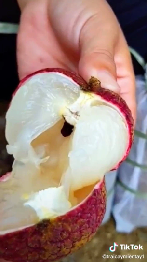 Màn bóc quả vải này quá chất lượng, cư dân mạng để lại vô vàn bình luận thích thú và ai cũng mong rằng mình được một lần thưởng thức cực phẩm này.