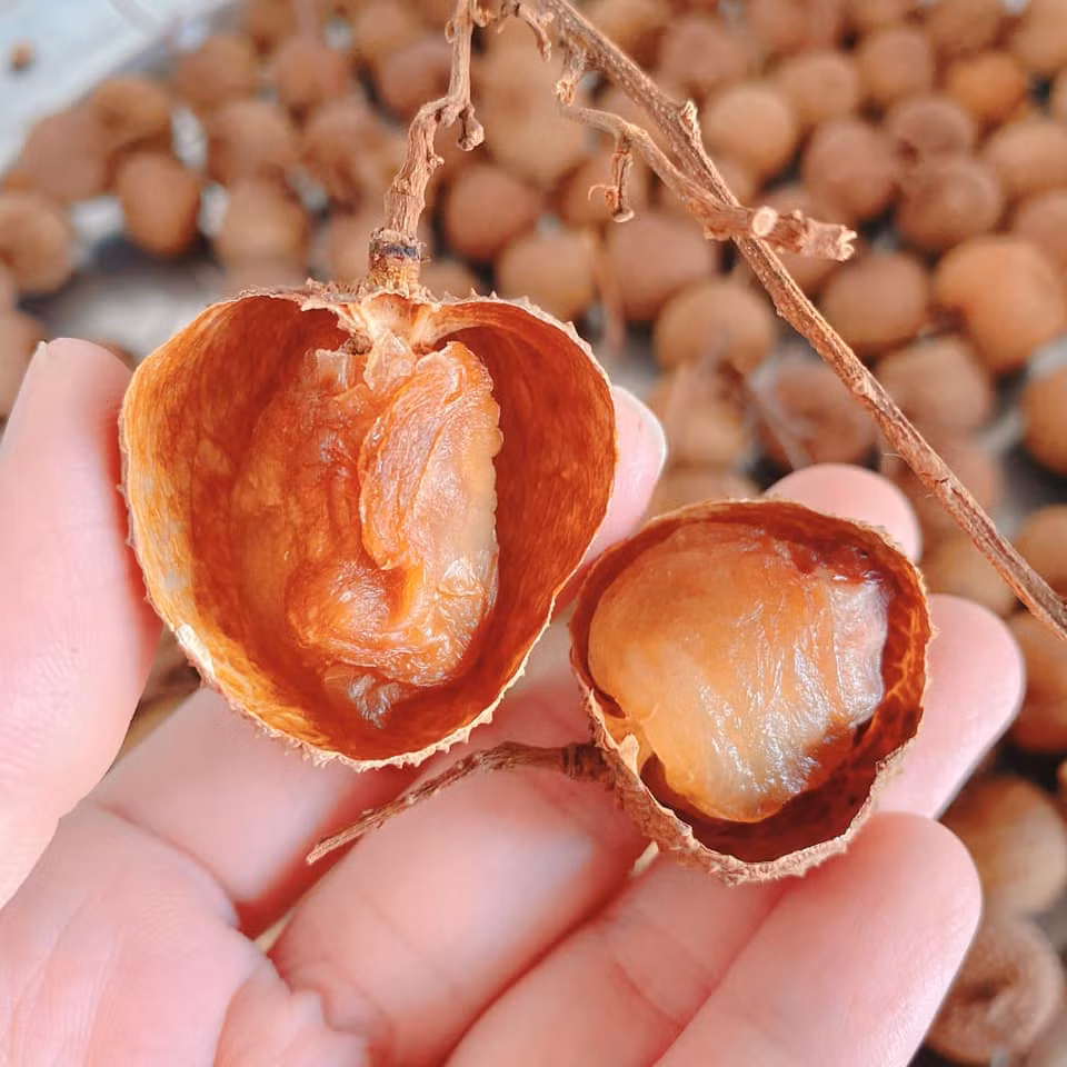 Ngoài ra, nhiều chị em đã tận dụng mùa vải chín để làm ra những món đồ ăn, thức uống cực hấp dẫn cho người thân của mình, điển hình như việc làm vải sấy khô. Ảnh: Lien Kieu Nguyen