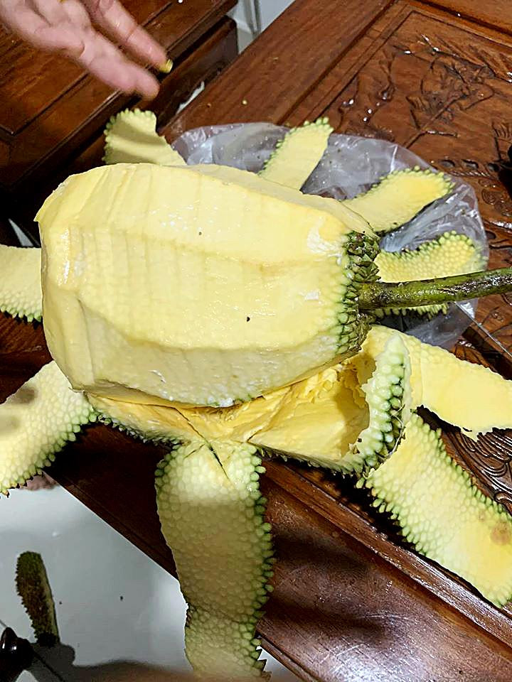 Mẹ người yêu nhờ bổ quả mít. Quay đi quay lại thấy tác phẩm của con dâu tương lai thế này đây. Ảnh: Tổng hợp