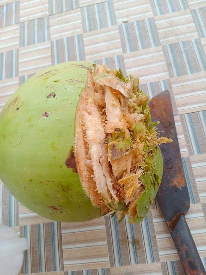 Không riêng gì xoài, trước đó trên MXH xuất hiện khá nhiều màn thảm họa gọt trái cây của gái vụng về khiến mẹ chồng nhìn mà "khóc thét".