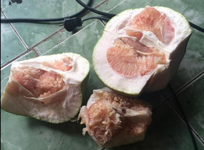 Một màn bổ bưởi thảm họa tiếp theo của một cô gái "đảm đang".