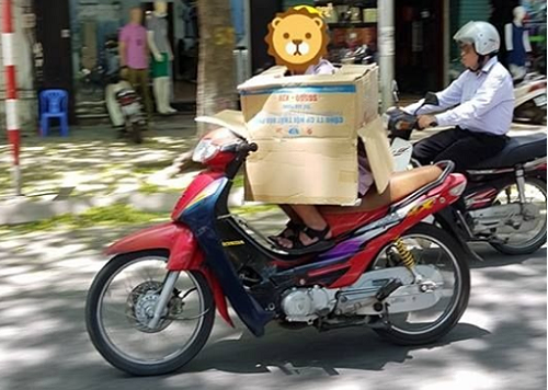 Người này còn chui hẳn trong thùng giấy thách thức mọi nhiệt độ.