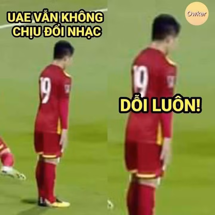 Lần nào đội tuyển ra sân, lần đó cư dân mạng có cả rổ ảnh chế. Ảnh: Fandom Owker