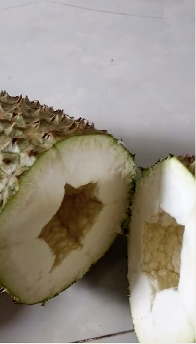 Chứng kiến khoảnh khắc bổ quả sầu riêng có 1-0-2 này, cư dân mạng ai cũng thảng thốt bởi đời không như là mơ.