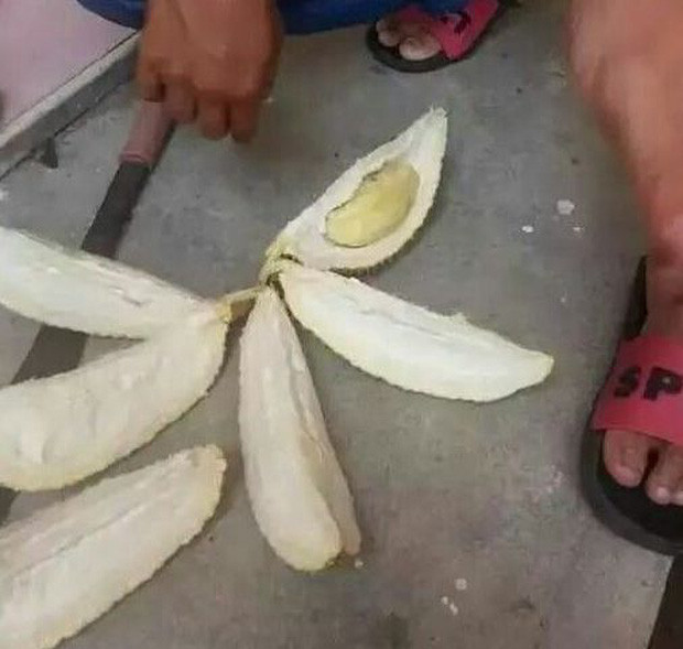 Cuối cùng, may mắn đã đến với anh chàng khi đến phần cuối cùng múi sầu riêng vàng ươm đã lộ diện, không bõ công đặt hàng trên mạng mà chờ đợi bao lâu nay.