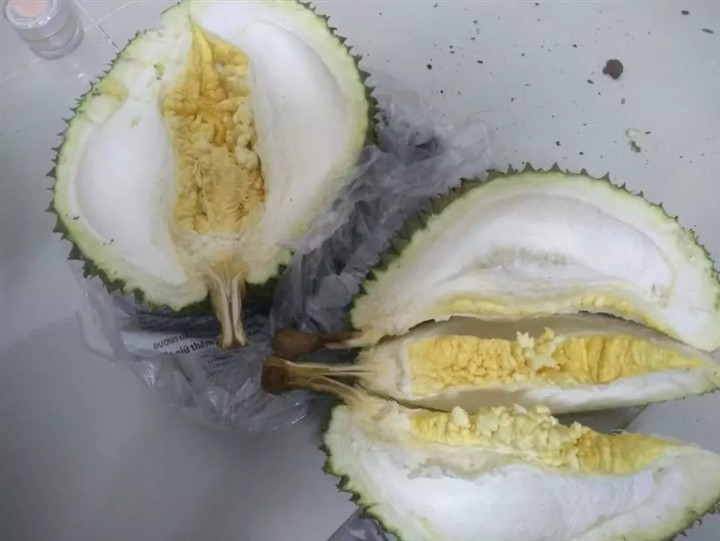 Quả sầu riêng nhìn bên ngoài khá đầy đủ nhưng bên trong ruột thì chẳng được là bao nhiêu... Ảnh: Tổng hợp