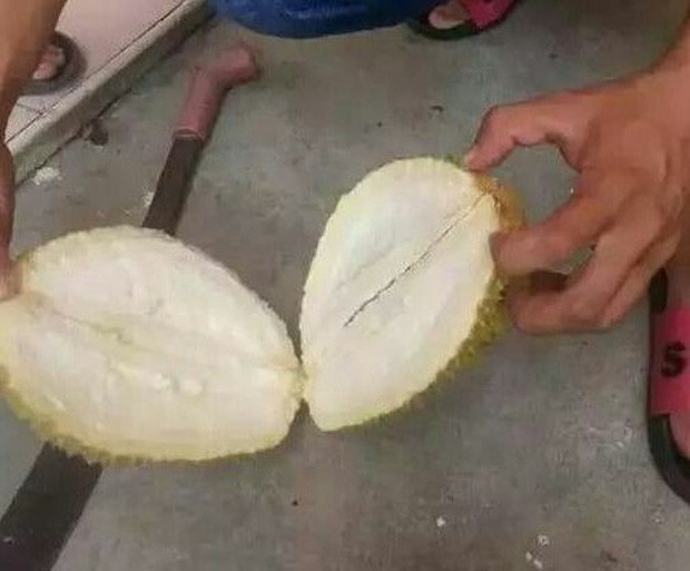 Tuy nhiên, màn tách sầu riêng của chàng trai này lại khiến netizen hết sức mong đợi, tò mò bởi bổ ra bao nhiêu lớp vẫn không thấy múi nào.