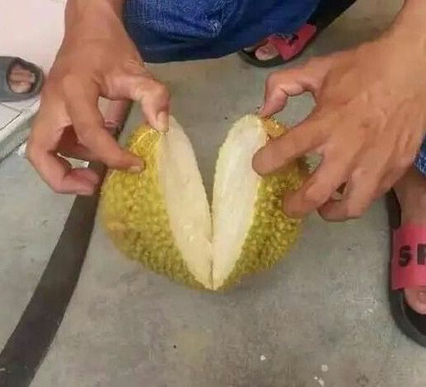 Mới đây, một chàng trai Trung Quốc đã chia sẻ đoạn clip bổ quả sầu riêng săn sale được trên mạng với giá 30 ngàn VNĐ. Khi hàng về thì chàng trai này đã hí hửng bổ nó ra và quay clip chia sẻ lên MXH.