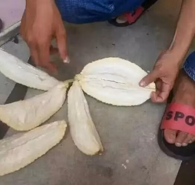 Sau một hồi, anh chàng đã bổ sầu riêng ra làm 6 phần, dù đã tuyệt vọng nhưng vẫn tiếp tục thử nghiệm.