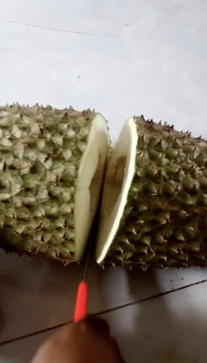 Thế nhưng sau tách vỏ quả sầu riêng, cư dân mạng mới "tá hỏa" quả này chẳng có lấy múi nào, phần ruột thì rỗng một lỗ dài.