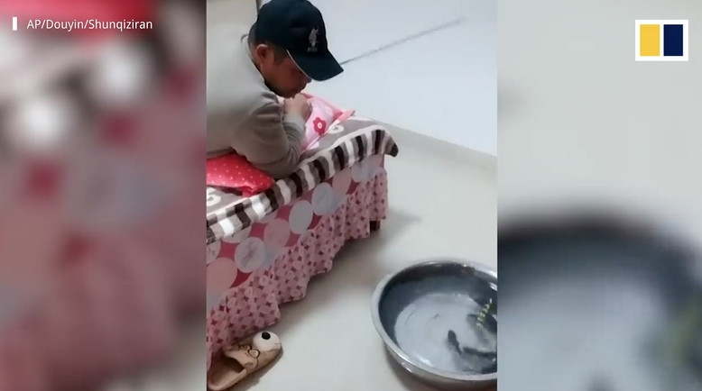 Từ việc câu cá trong nhà cho đến việc tự tạo nên những tác phẩm bất hủ, không ít người đã khiến netizen phải khâm phục bởi độ rảnh rỗi của mình. Ảnh: Facebook