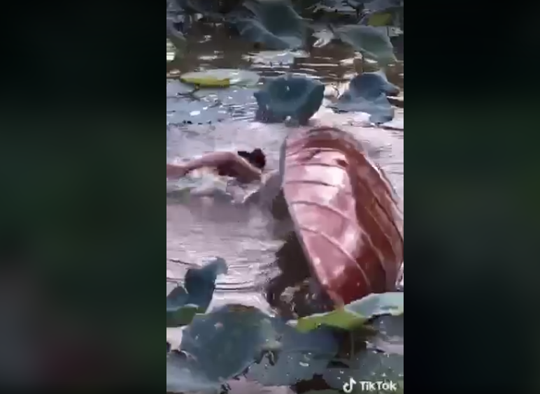 Khoảnh khắc hài hước này chính là minh chứng cho câu nói đằng sau những bức ảnh đẹp chắc chắn là cả một "thảm họa".