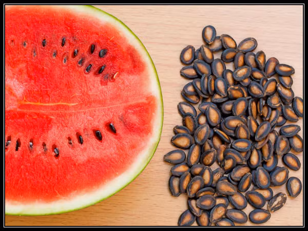 Hạt dưa hấu cung cấp Argnine và lysine, những axit amin đóng vai trò quan trọng trong quá trình chuyển hóa chất dinh dưỡng.