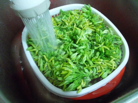 Hoa thiên lý nhặt sạch cuống, rửa qua nước muối loãng, lưu ý thao tác nhẹ tay.