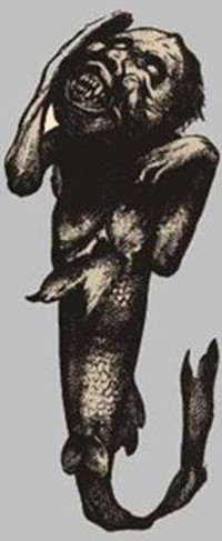 Bi an roi tung mu ve nguoi ca Fiji-Hinh-3