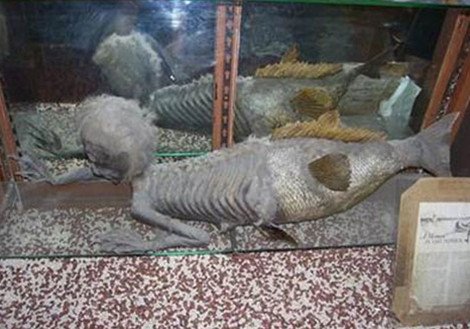 Bi an roi tung mu ve nguoi ca Fiji