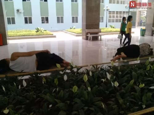 Một cặp vợ chồng trung tuổi ra chăm con trai đang điều trị ở Bệnh viện K. Ghế đá dường như đã trở nên quen thuộc với họ, một giấc ngủ ngon và không chút giật mình.