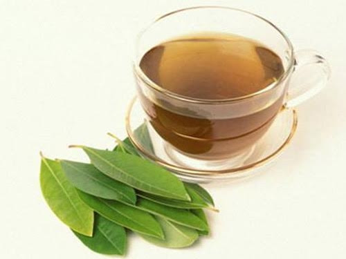 Nước vối rất tốt cho cơ thể.