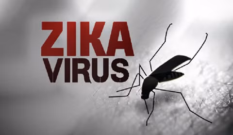 Giam sat noi benh nhan Han Quoc nhiem virus Zika o Viet Nam