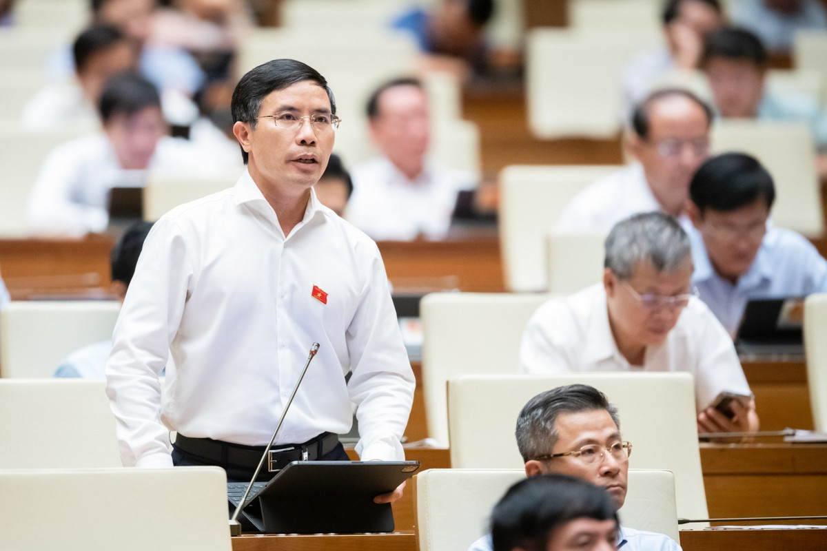 ĐBQH đề nghị xử lý hình sự bỏ cọc đấu giá tài sản - Hình 2 DBQH de nghi xu ly hinh su bo coc dau gia tai san-Hinh-2