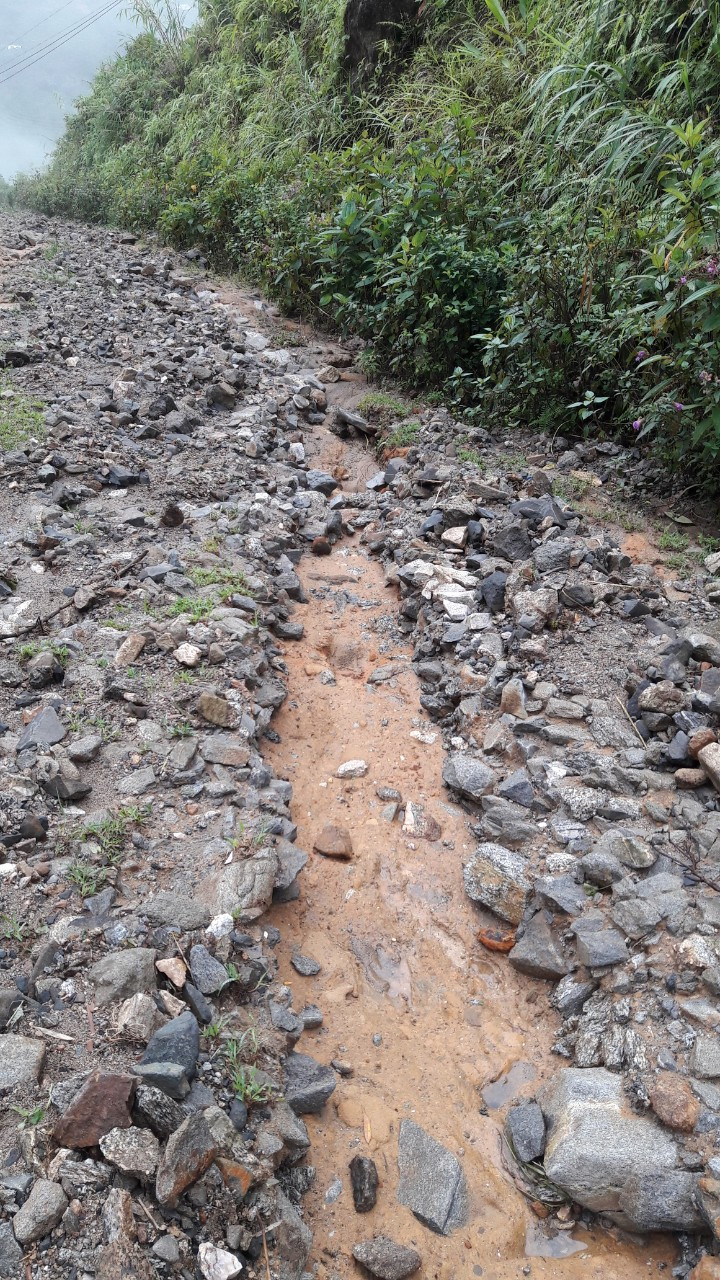 Thay giao mam non 12 nam bam ban het long vi dan em tho-Hinh-5