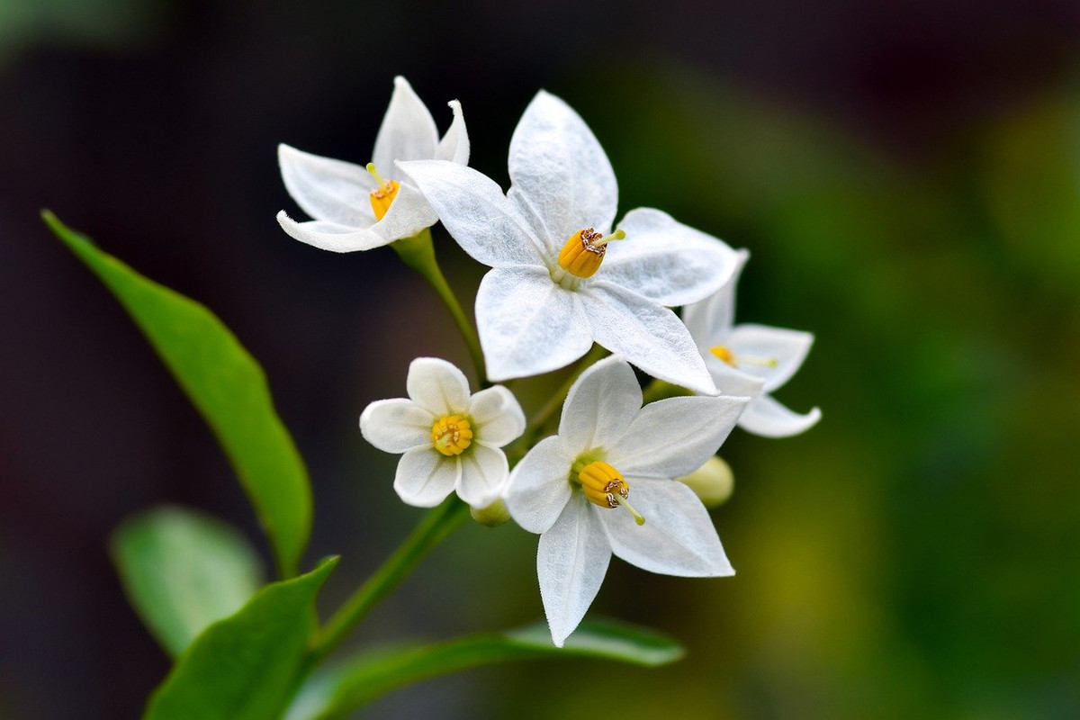  Những người có ngày sinh Âm lịch kết thúc bằng số 7. Những người có ngày sinh kết thúc bằng số 7 thường rất được yêu thích. Vận may của họ đến từ những quý nhân xung quanh, đi tới đâu cũng có người yêu mến, sẵn sàng giúp đỡ. 