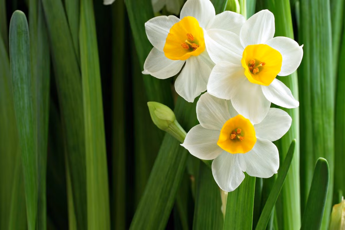 Sinh trung 3 thang am nay, sau tuoi 35 doi van vang son, giau nut vach-Hinh-9