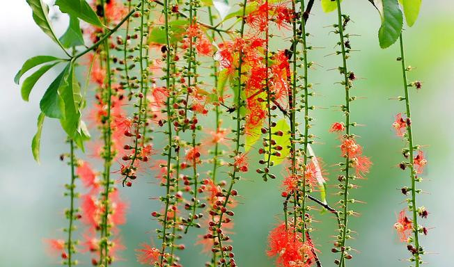 Sinh trung 3 thang am nay, sau tuoi 35 doi van vang son, giau nut vach