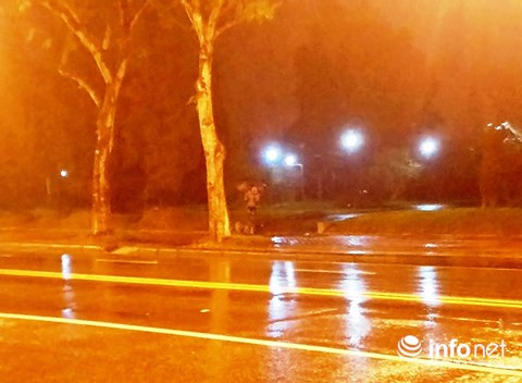 Một cô gái cầm ô đứng dưới trời mưa để "vẫy khách" tại khu vực công viên Phú Xuân (Thành phố Huế).