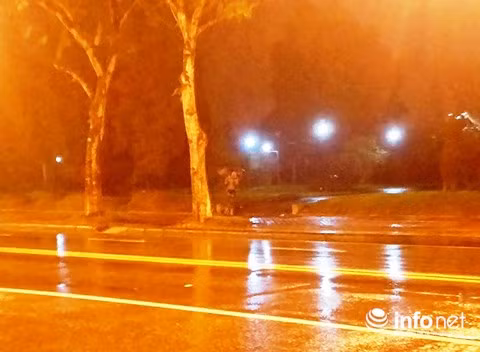 Một cô gái cầm ô đứng dưới trời mưa để "vẫy khách" tại khu vực công viên Phú Xuân (Thành phố Huế).