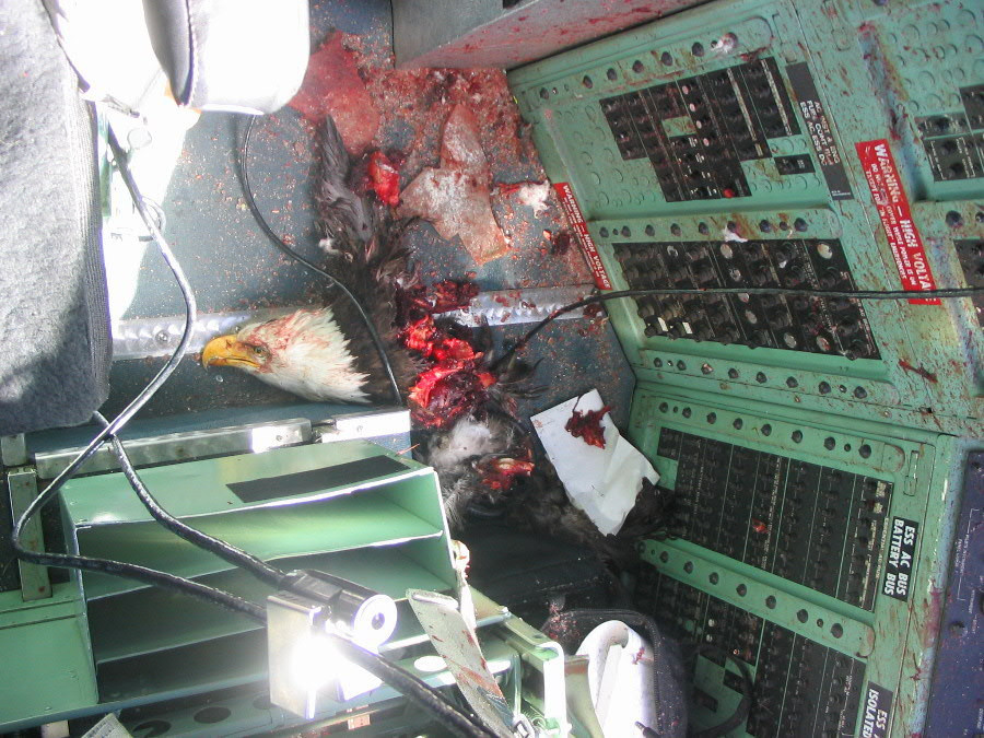 Với một cỗ máy đòi hỏi yêu cầu thiết kế chính xác cao như máy bay phản lực chiến đấu, việc khung máy bay bị biến dạng hay nứt sẽ khiến nó không còn giữ được các tính năng thiết kế ban đầu và không thể đảm bảo an toàn cất cánh được nữa vì tai nạn có thể xảy ra bất cứ lúc nào. Nguồn ảnh: Archive.