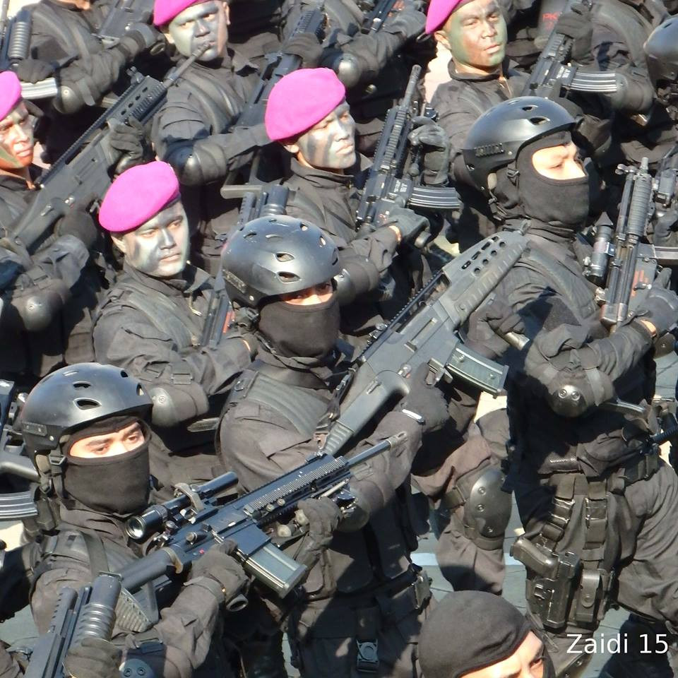 Trong đó, có thể kể ra một vài phiên bản của khẩu súng này như súng trường tấn công, súng trường tự động, súng máy hạng nhẹ và súng bắn tỉa. Một vài phiên bản ít phổ biến hơn của khẩu súng này bao gồm súng cạc bin và phiên bản tiểu liên tự vệ. Nguồn ảnh: Zaidi15.