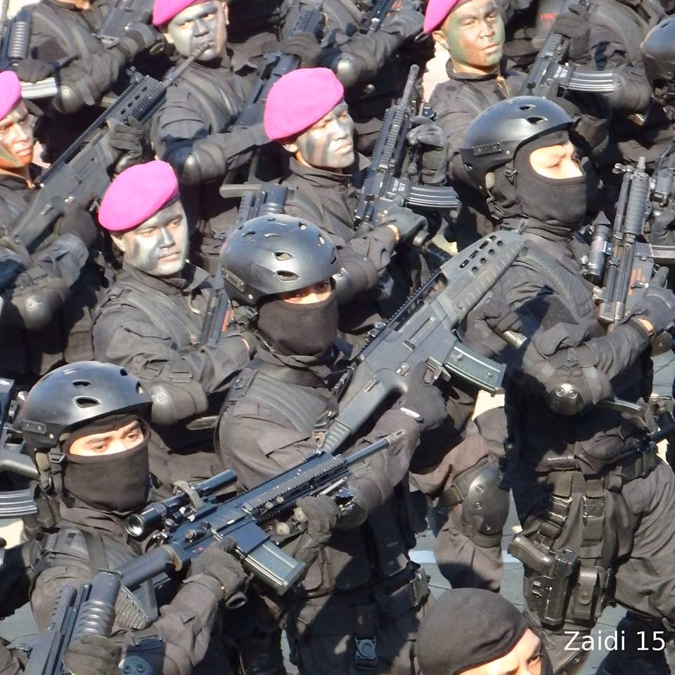 Trong đó, có thể kể ra một vài phiên bản của khẩu súng này như súng trường tấn công, súng trường tự động, súng máy hạng nhẹ và súng bắn tỉa. Một vài phiên bản ít phổ biến hơn của khẩu súng này bao gồm súng cạc bin và phiên bản tiểu liên tự vệ. Nguồn ảnh: Zaidi15.