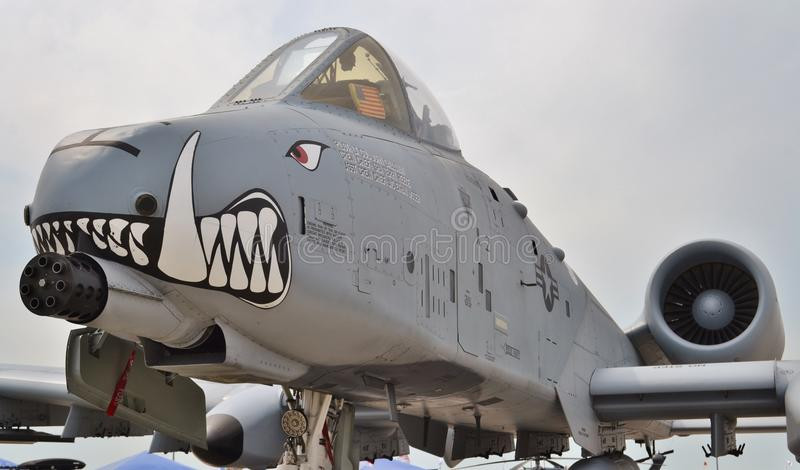 Khẩu pháo 30mm 7 nòng này có khả năng bắn với tốc độ tối đa lên tới 3900 viên mỗi phút. Tầm bắn hiệu quả của khẩu pháo này lên tới 1200 mét và có tầm bắn tối đa có thể lên tới 3600 mét. Nguồn ảnh: Stime.