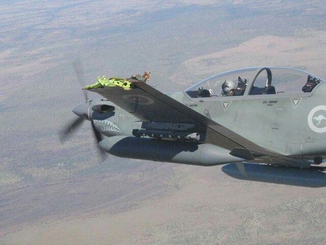 Với các loại máy bay cánh quạt hoặc máy bay trực thăng, vụ va chạm thường sẽ không dẫn tới nhiều hậu quả nghiêm trọng, phần khung thân của máy bay dù có bị hư hỏng nhẹ, vẫn có thể tiếp tục sử dụng trong tương lai sau khi được sủa chữa kỹ càng. Nguồn ảnh: Aviation.