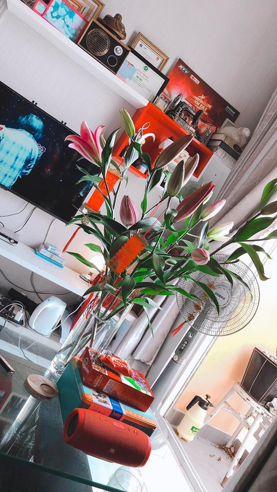 Mặc dù hiện tại không nổi như trước đây nhưng cuộc sống của Hải Yến Idol vô cùng hạnh phúc bên chồng con. Gia đình cô sống trong một căn hộ tại Tp.HCM. Dù căn hộ có diện tích không quá rộng nhưng không gian vô cùng ấm áp, trang nhã và sạch sẽ.