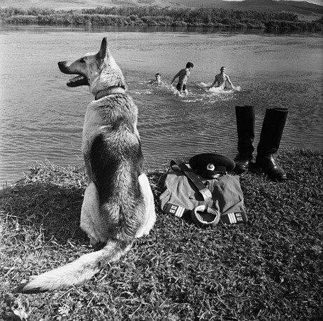 Thành viên bốn chân của lực lượng biên phòng Liên Xô canh đồ cho đồng đội mình đi tắm, ảnh chụp năm 1972. Nguồn ảnh: TASS.