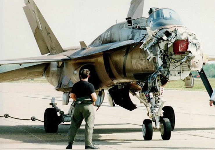 Không thể phủ nhận được một điều, đó là những cỗ máy chiến tranh trị giá nhiều triệu USD này lại có thể bị hạ gục một cách dễ dàng như vậy chỉ bằng những... chú chim. Nguồn ảnh: Pinterest.