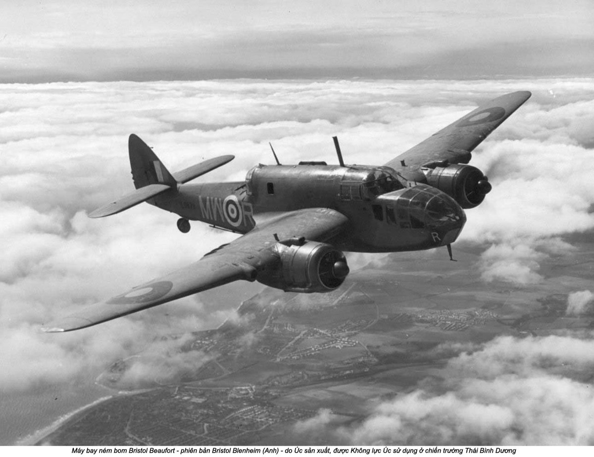 Đặc điểm dễ nhận thấy nhất của loại máy bay này đó là nó có phần lưng gù cực kỳ đặc trưng. Nguồn ảnh: Flickr.