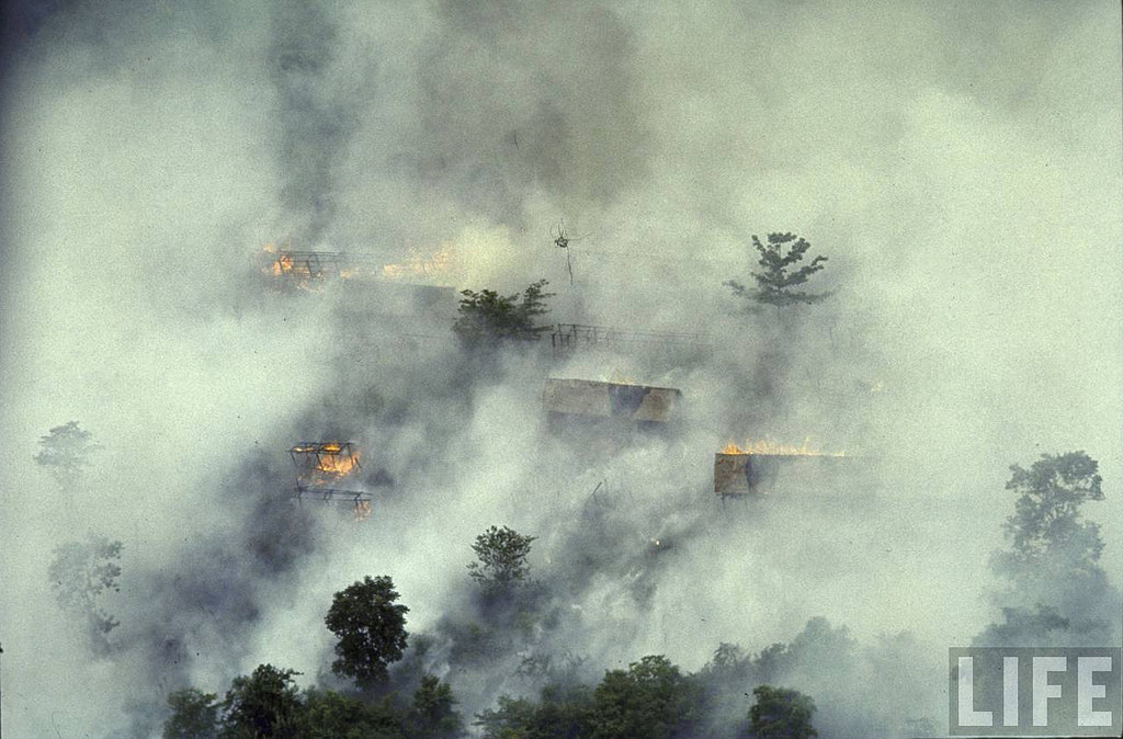 Một điều khá trớ trêu đó là chỉ vài tuần sau khi bị đốt phá, cây cối trong khu vực bị rải bom napalm lại mọc lên rất nhanh và tươi tốt hơn cả lúc đầu. Nguồn ảnh: Life.