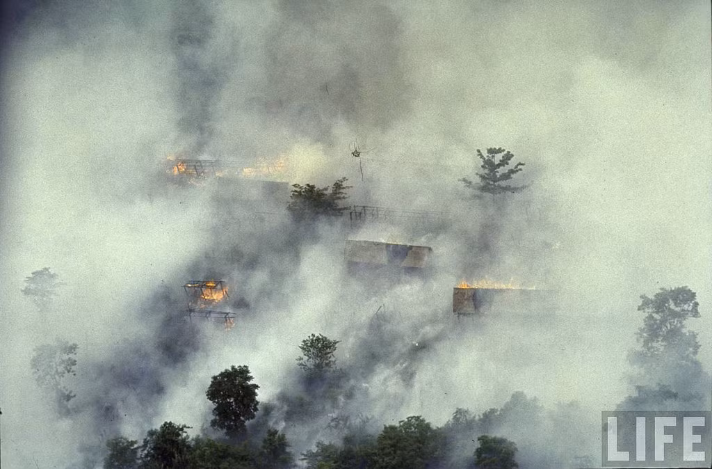 Một điều khá trớ trêu đó là chỉ vài tuần sau khi bị đốt phá, cây cối trong khu vực bị rải bom napalm lại mọc lên rất nhanh và tươi tốt hơn cả lúc đầu. Nguồn ảnh: Life.