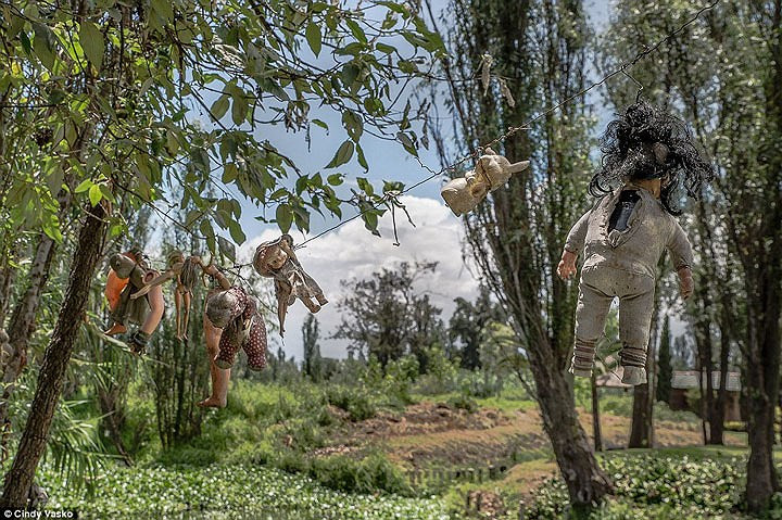 Sự thật về hòn đảo này vẫn là một ẩn số, nhiều người nghi ngờ liệu có tồn tại cô bé đuối nước hay không. Có người nói Julian đã tự dựng lên câu chuyện này vì ông quá cô đơn.